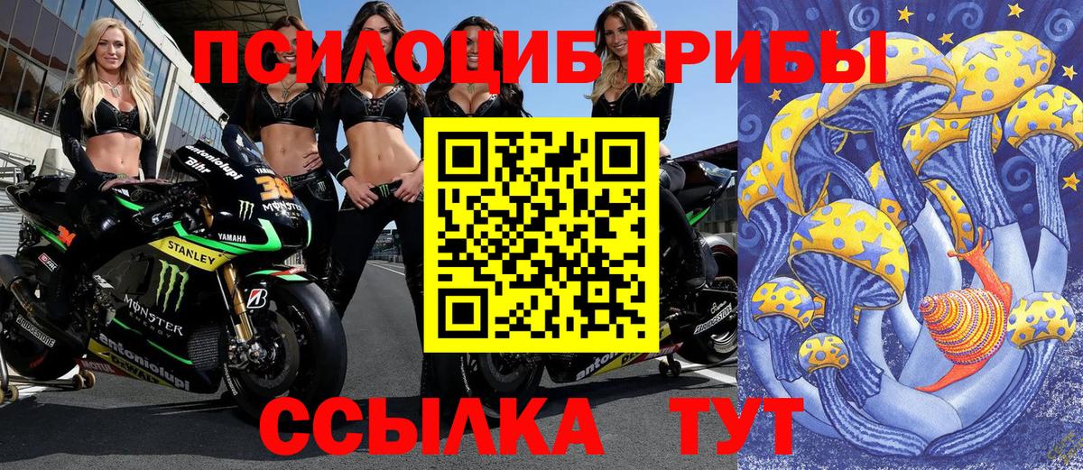 Псилоцибиновые грибы GOLDEN TEACHER  Вход с VPN  Галлюциногенные грибы Magic Shrooms  Санкт-Петербург 